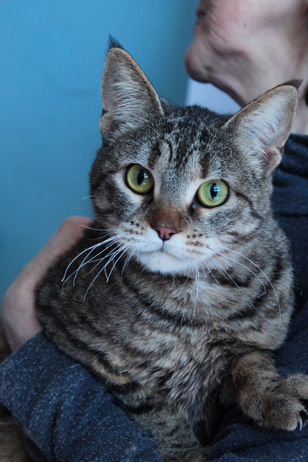 ph: Диана Стафеева