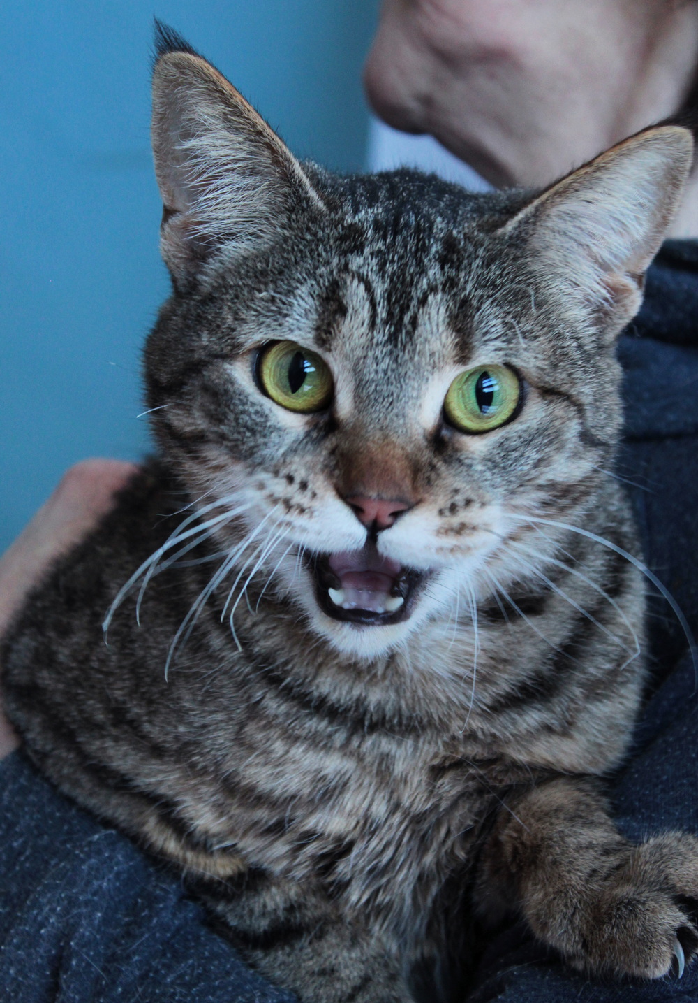 ph: Диана Стафеева