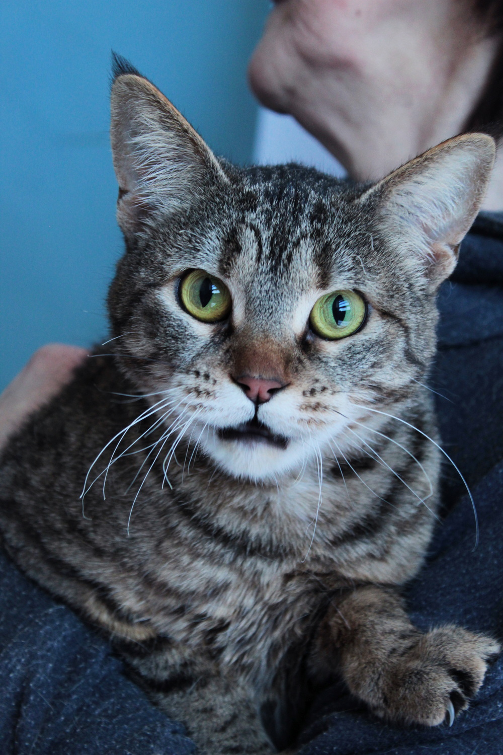 ph: Диана Стафеева