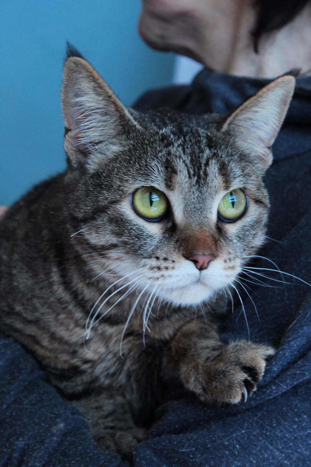 ph: Диана Стафеева