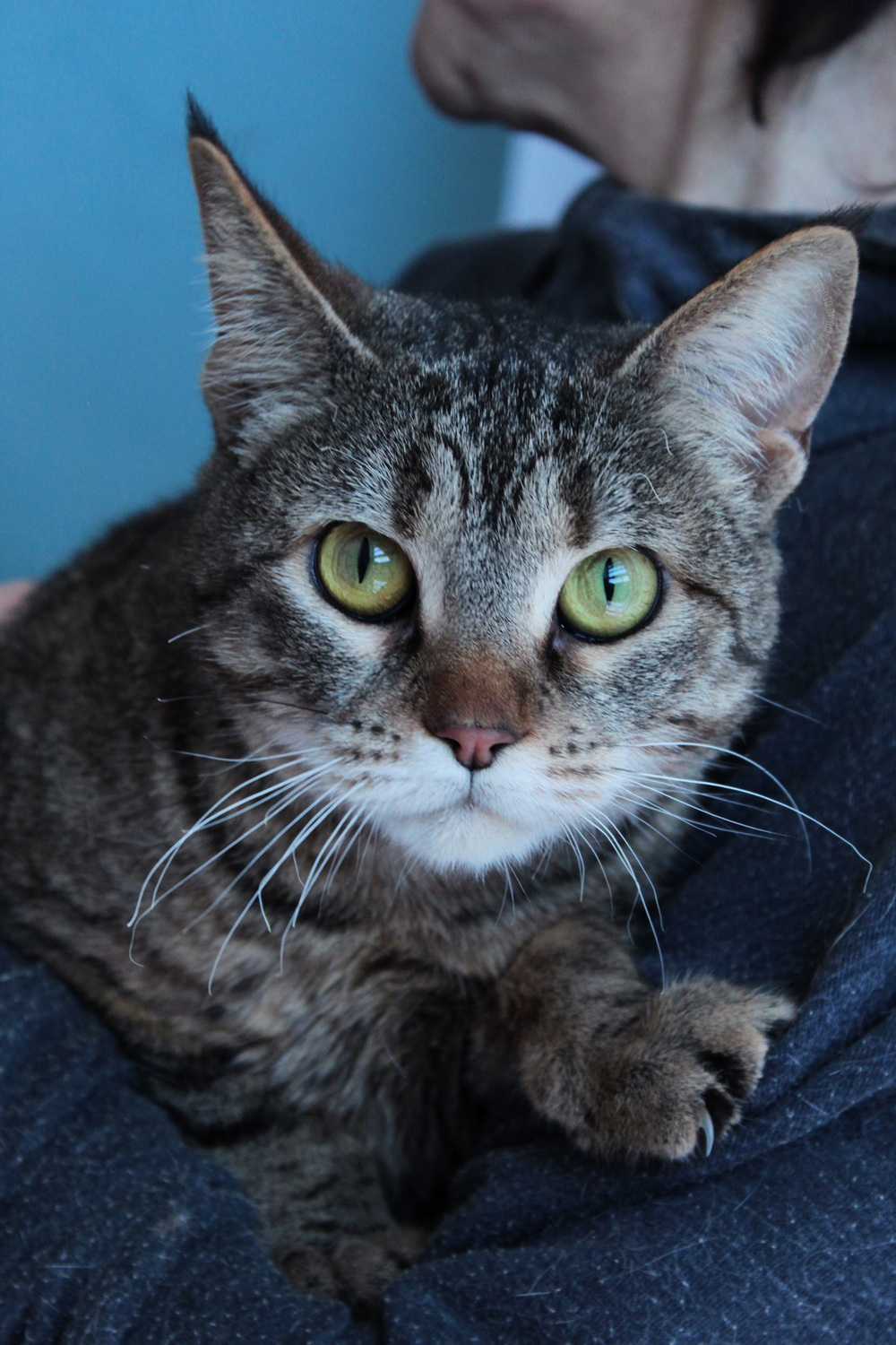 ph: Диана Стафеева