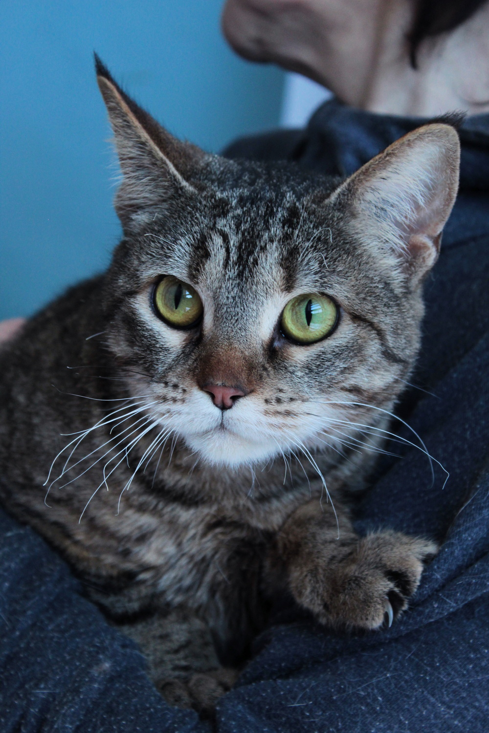 ph: Диана Стафеева