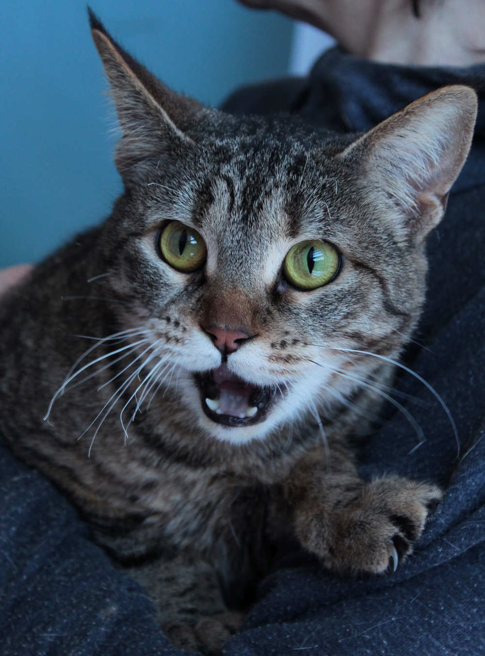 ph: Диана Стафеева