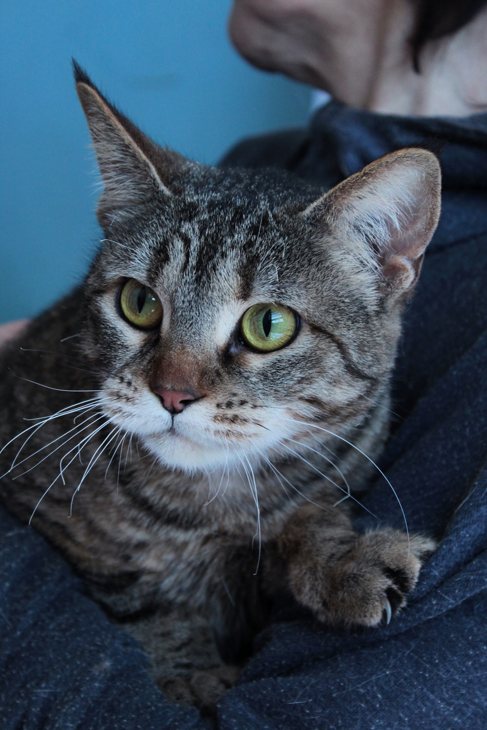 ph: Диана Стафеева