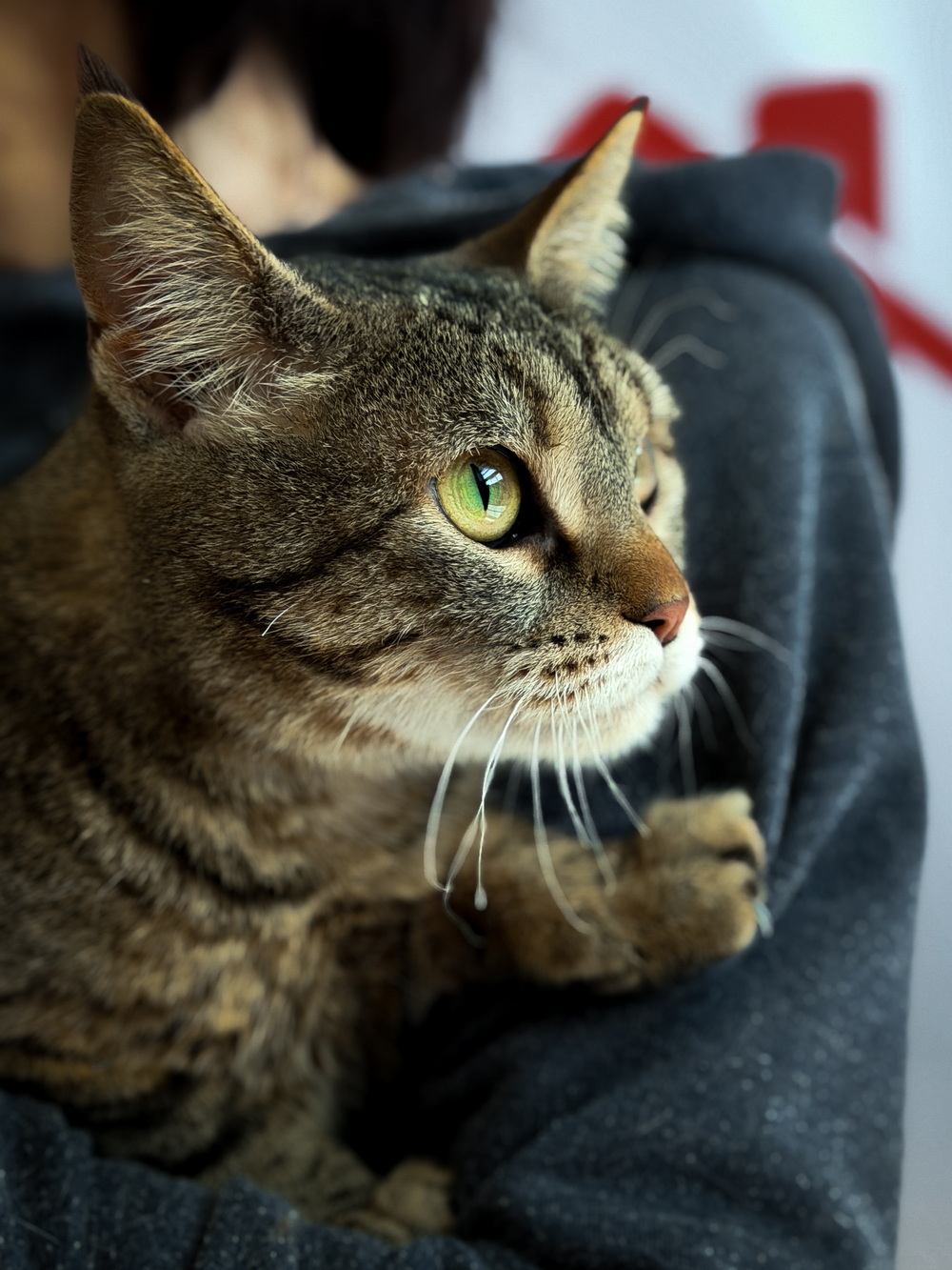 ph: Ирина Никифорова