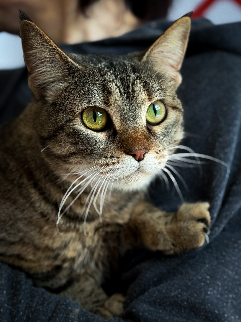 ph: Ирина Никифорова