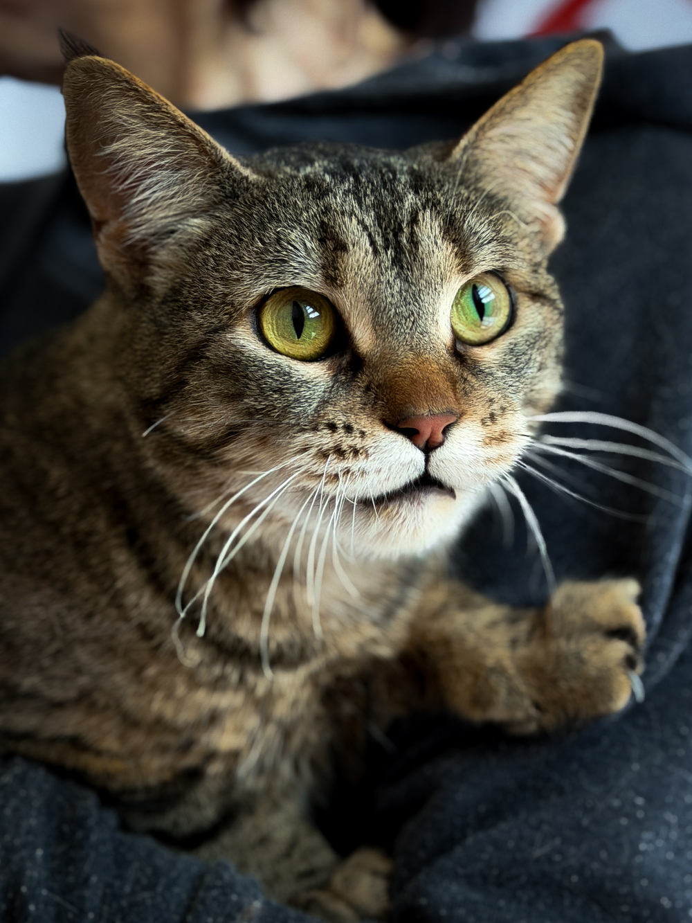 ph: Ирина Никифорова