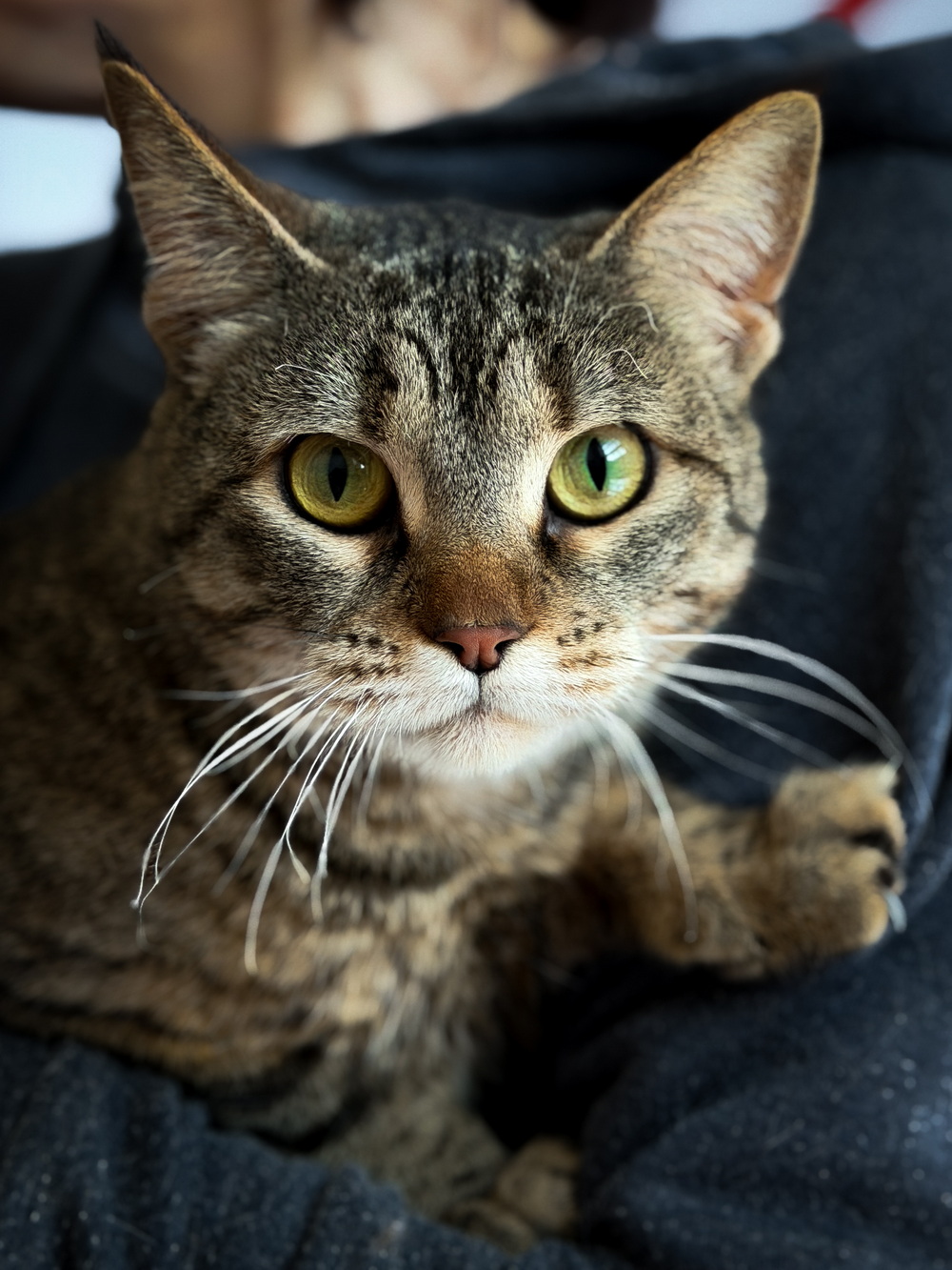 ph: Ирина Никифорова