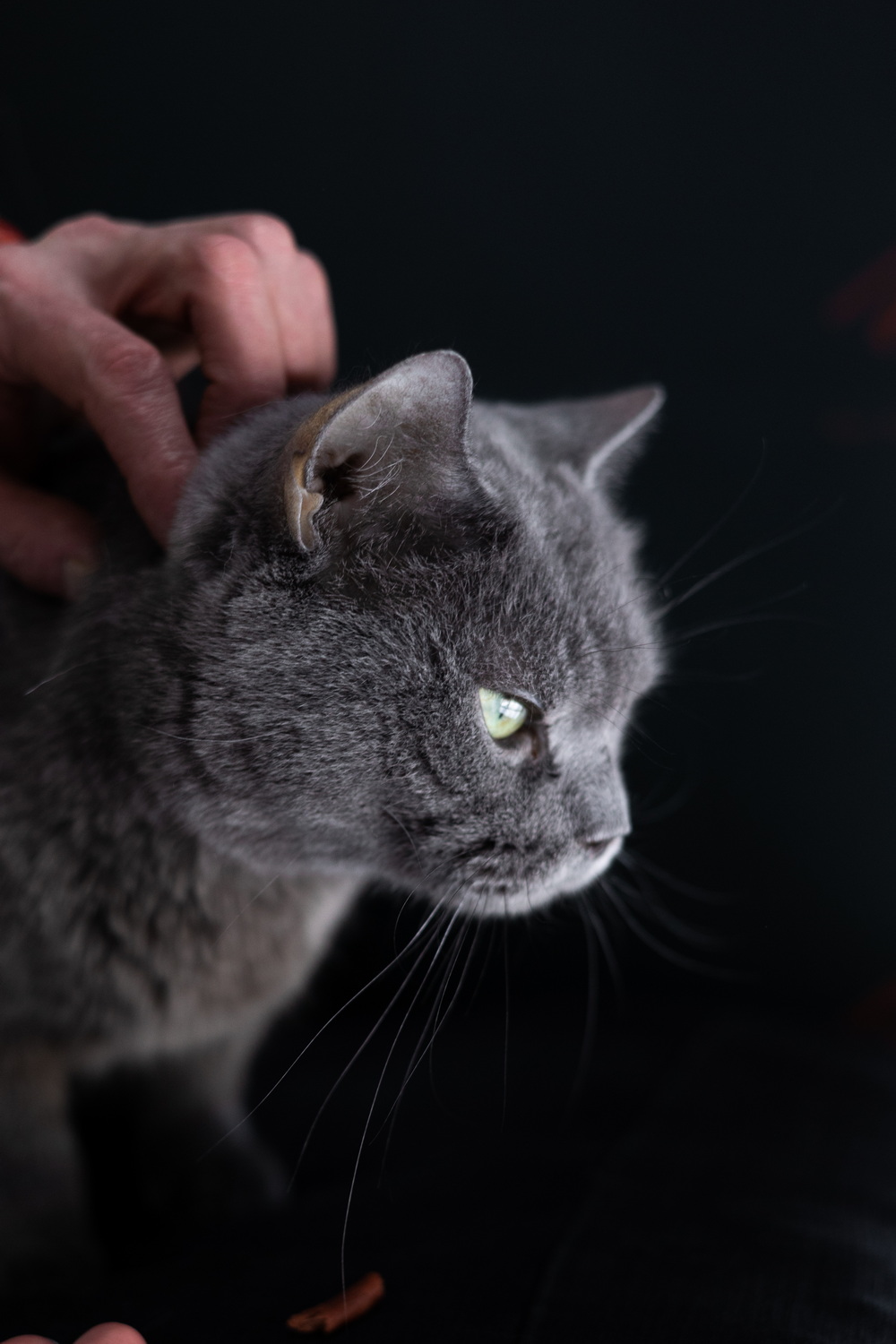 ph: Елена Тимофеева