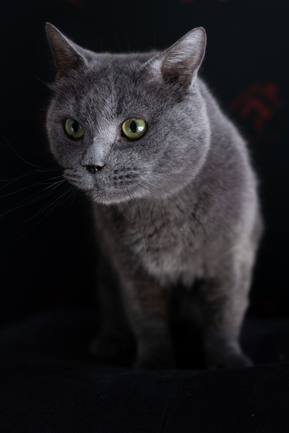 ph: Елена Тимофеева