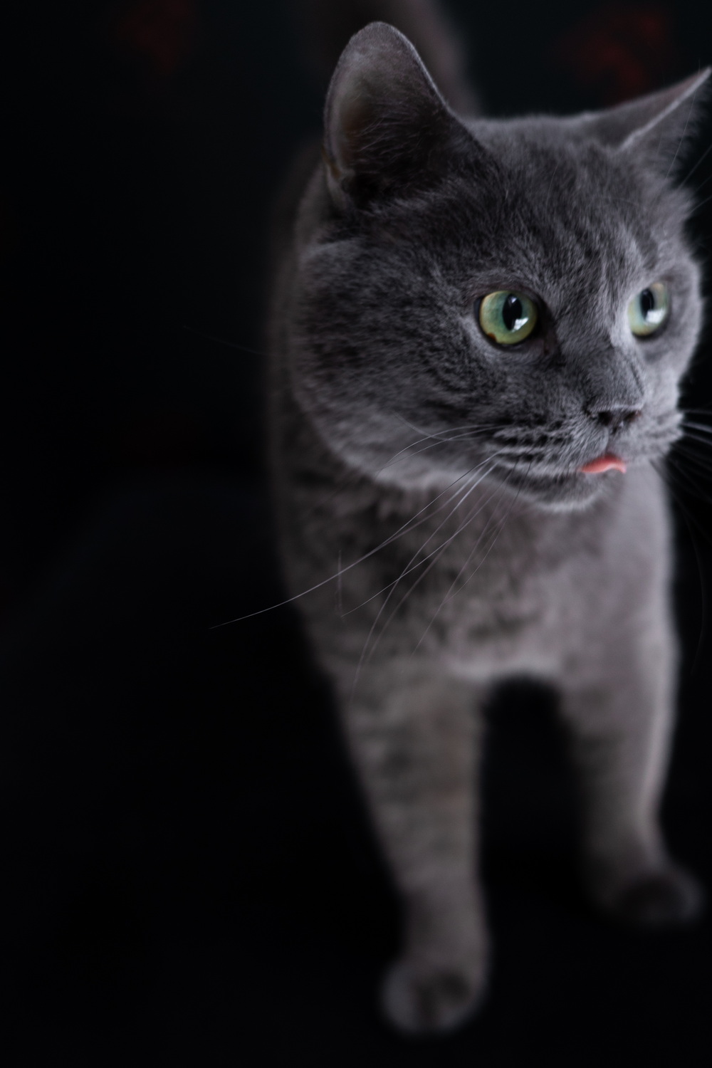 ph: Елена Тимофеева