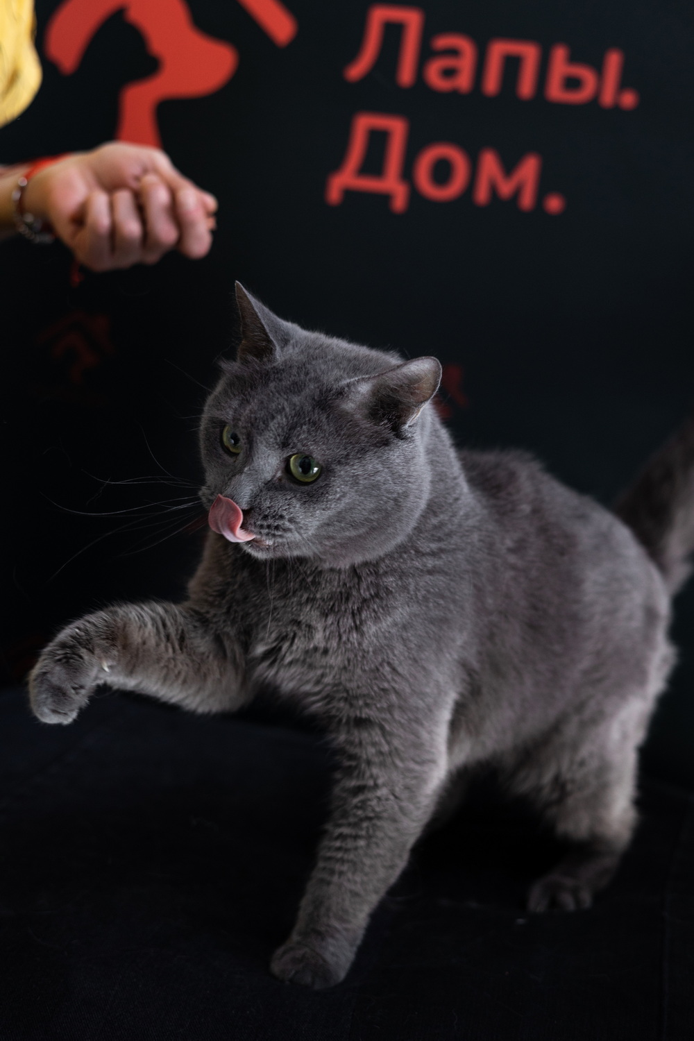 ph: Елена Тимофеева