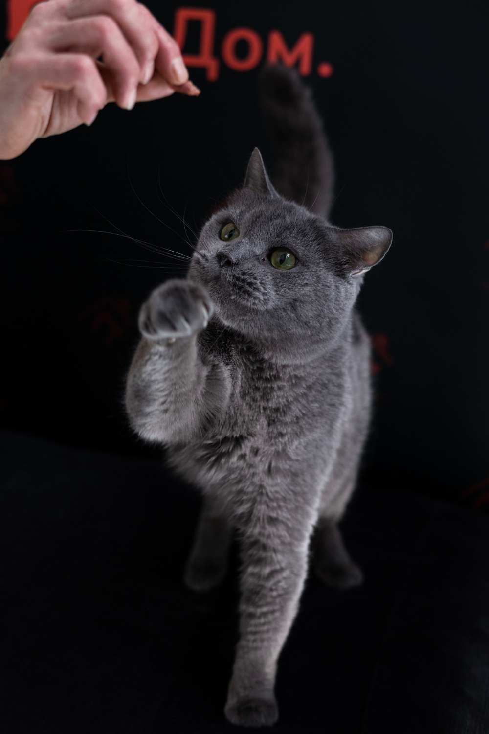 ph: Елена Тимофеева