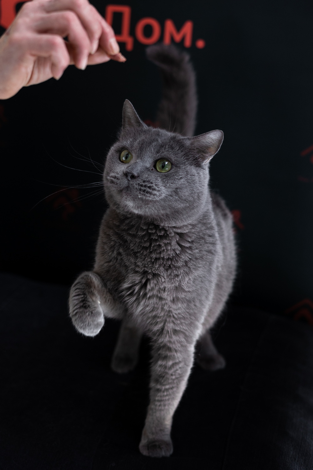 ph: Елена Тимофеева