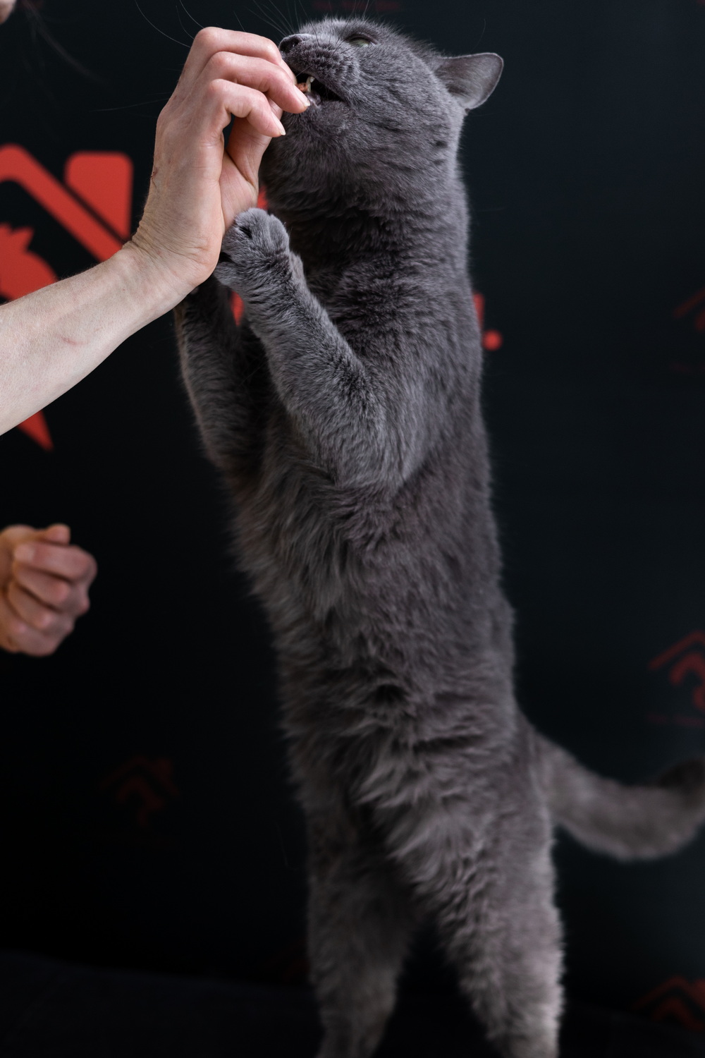 ph: Елена Тимофеева