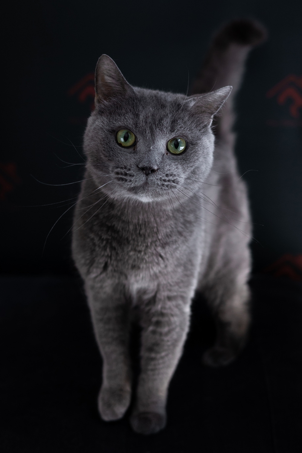 ph: Елена Тимофеева