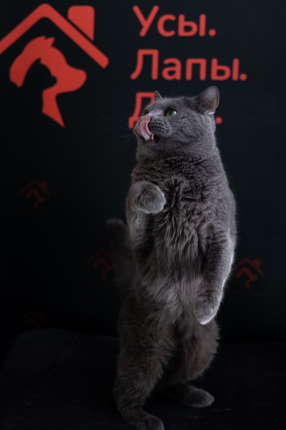 ph: Елена Тимофеева