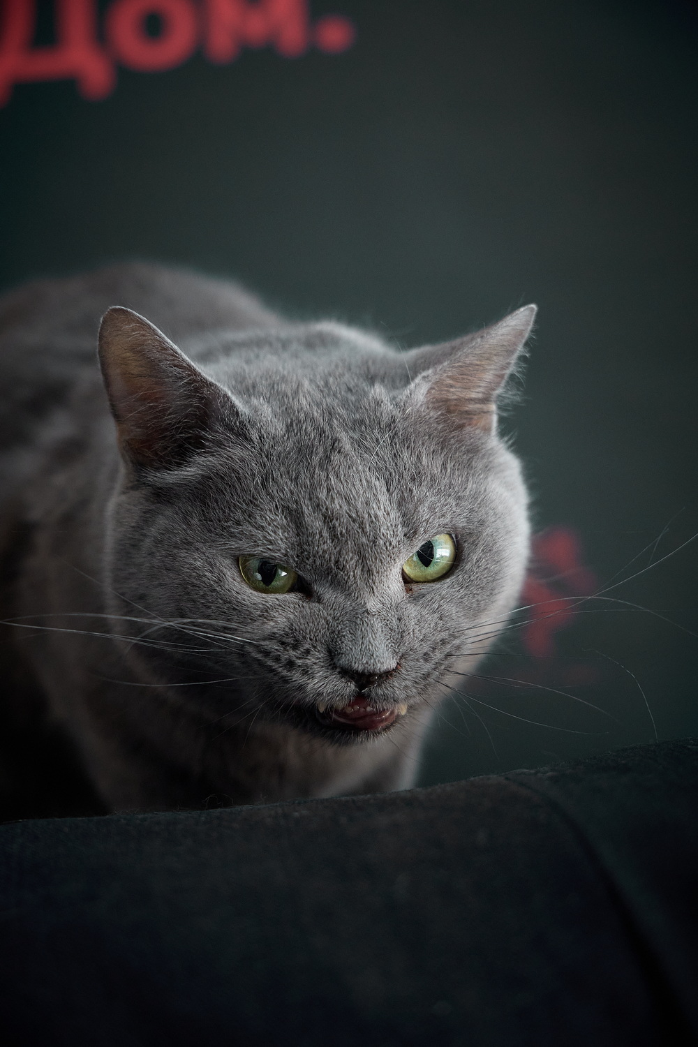 ph: Николай Коба