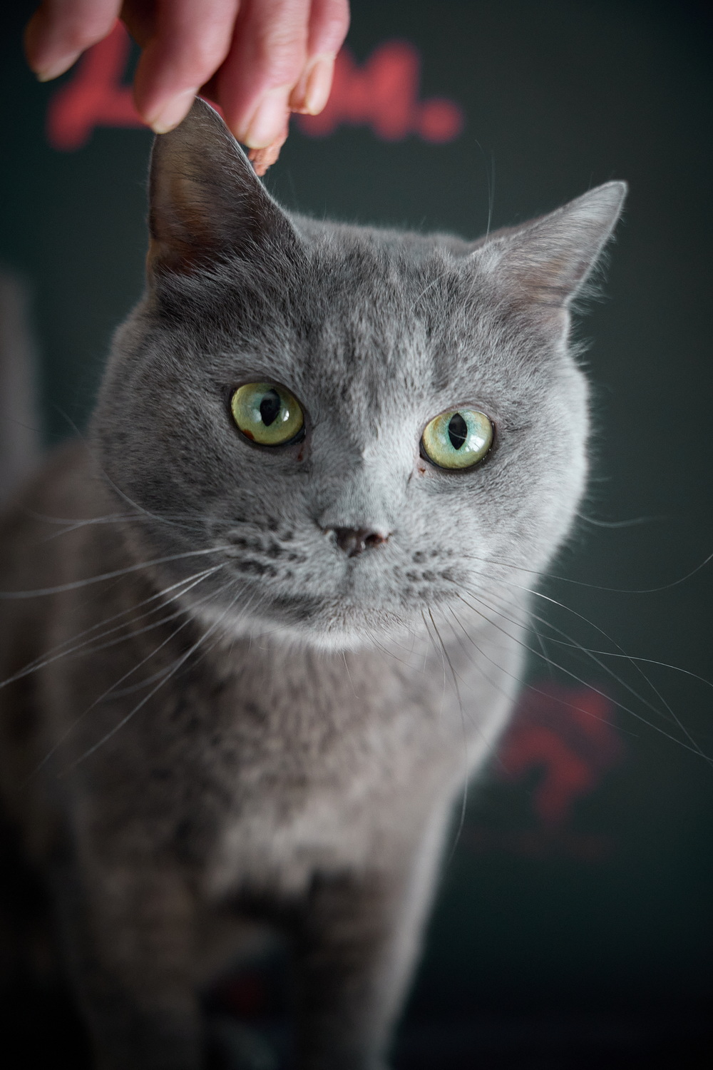 ph: Николай Коба