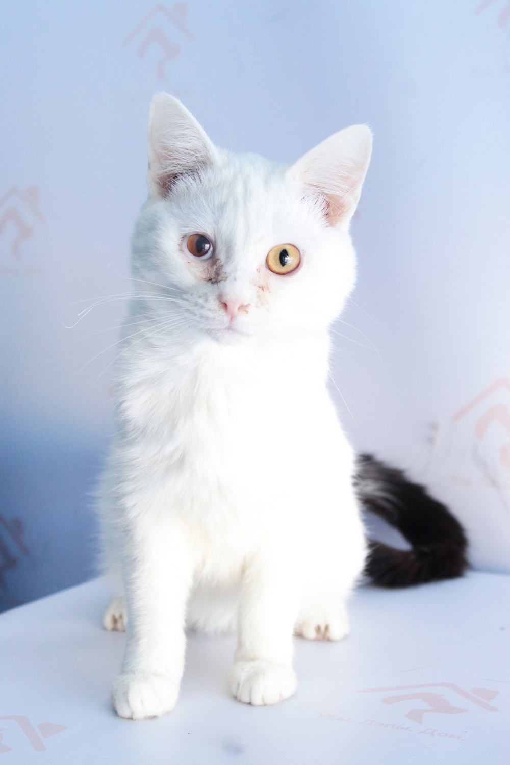 ph: Диана Стафеева