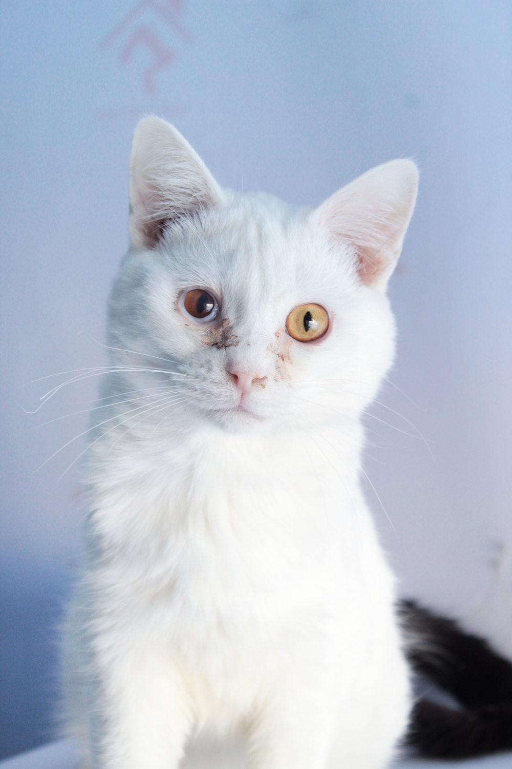 ph: Диана Стафеева