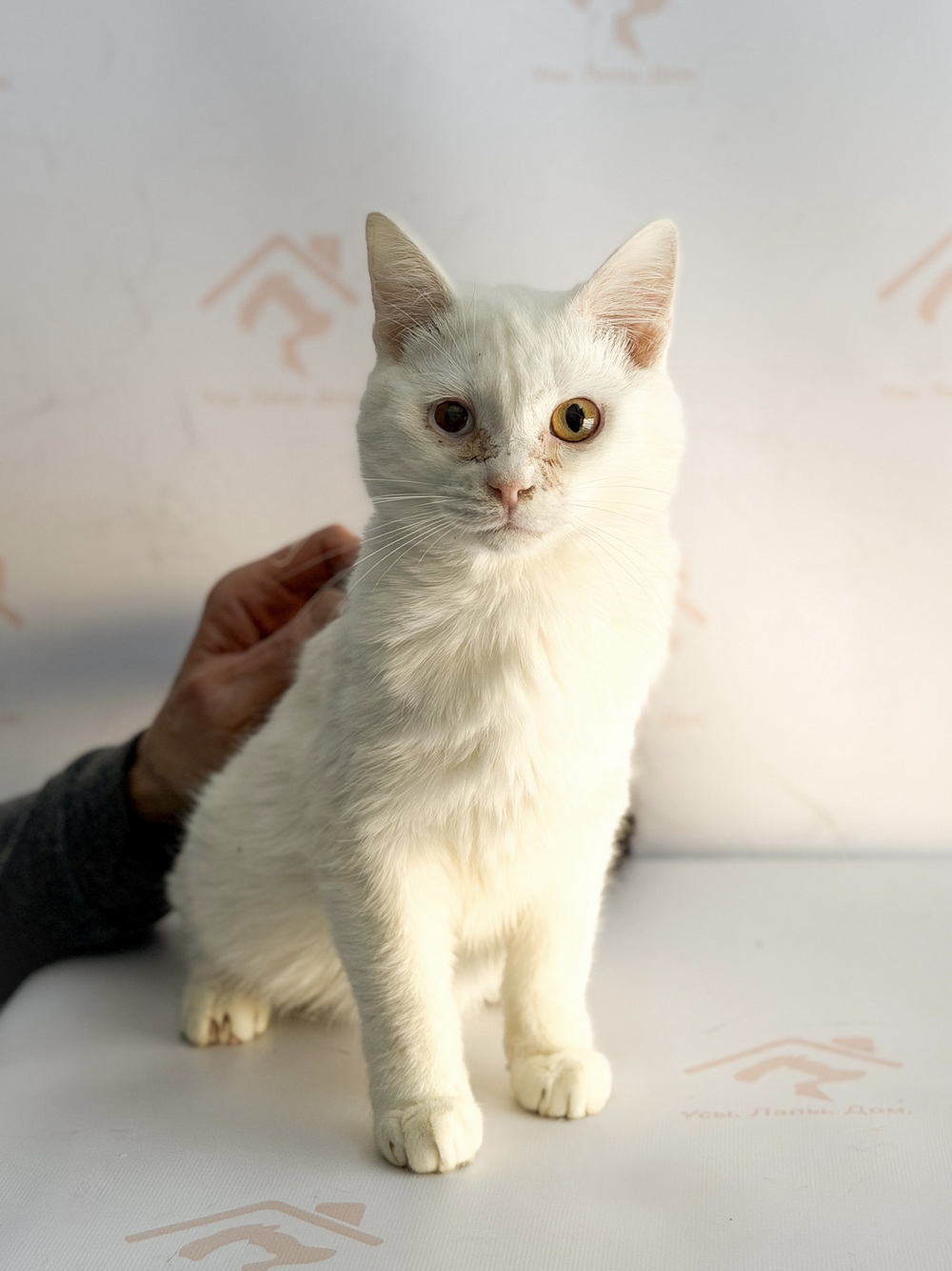 ph: Ирина Никифорова