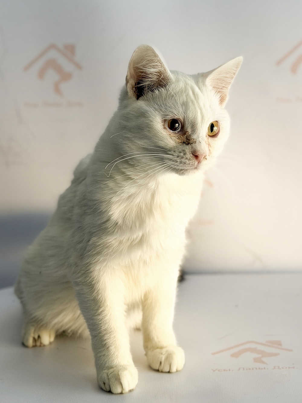 ph: Ирина Никифорова