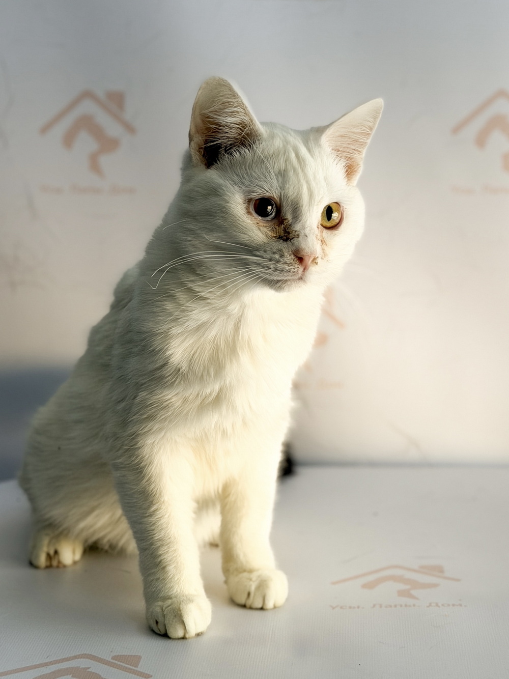 ph: Ирина Никифорова