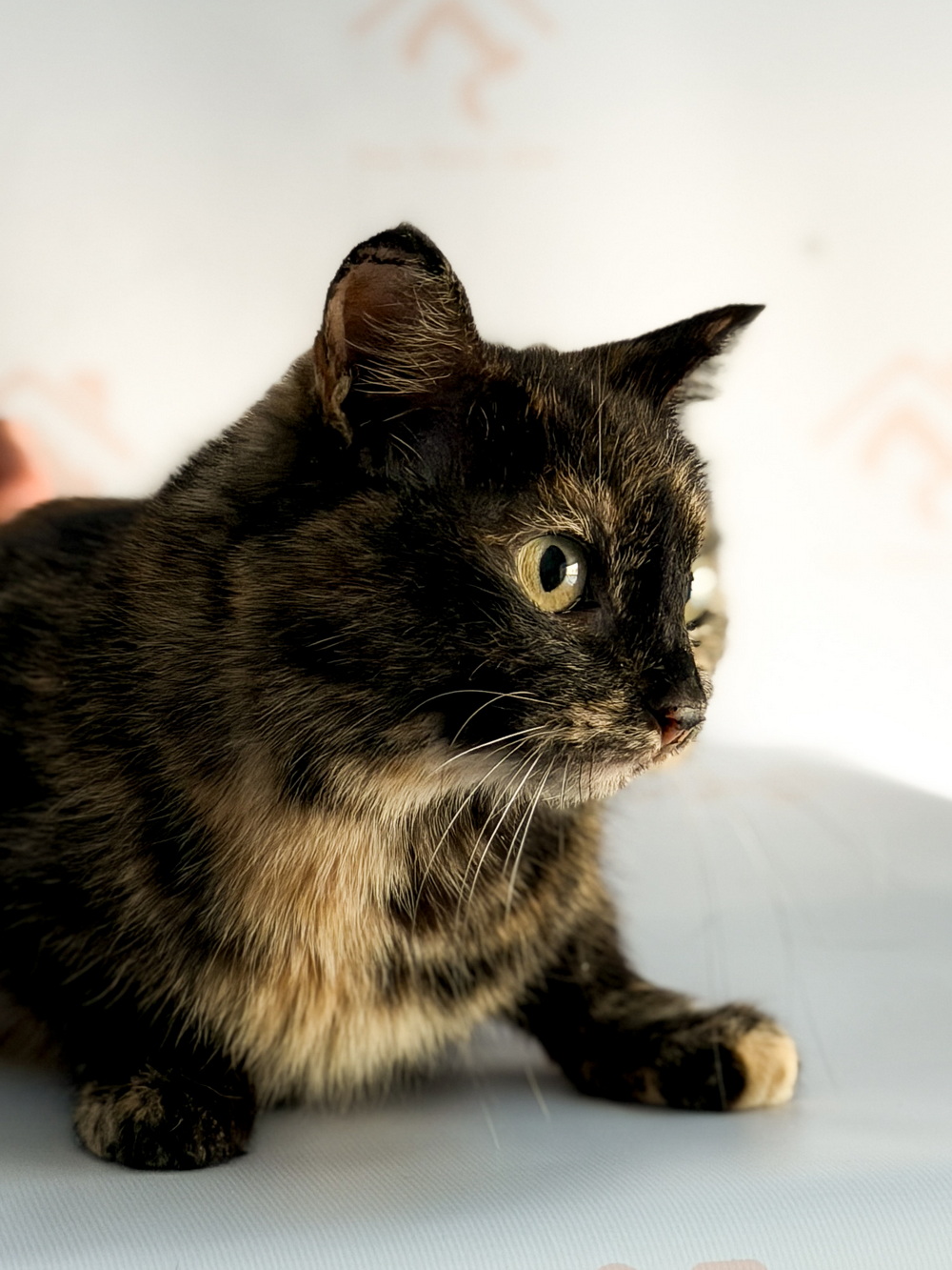 ph: Ирина Никифорова