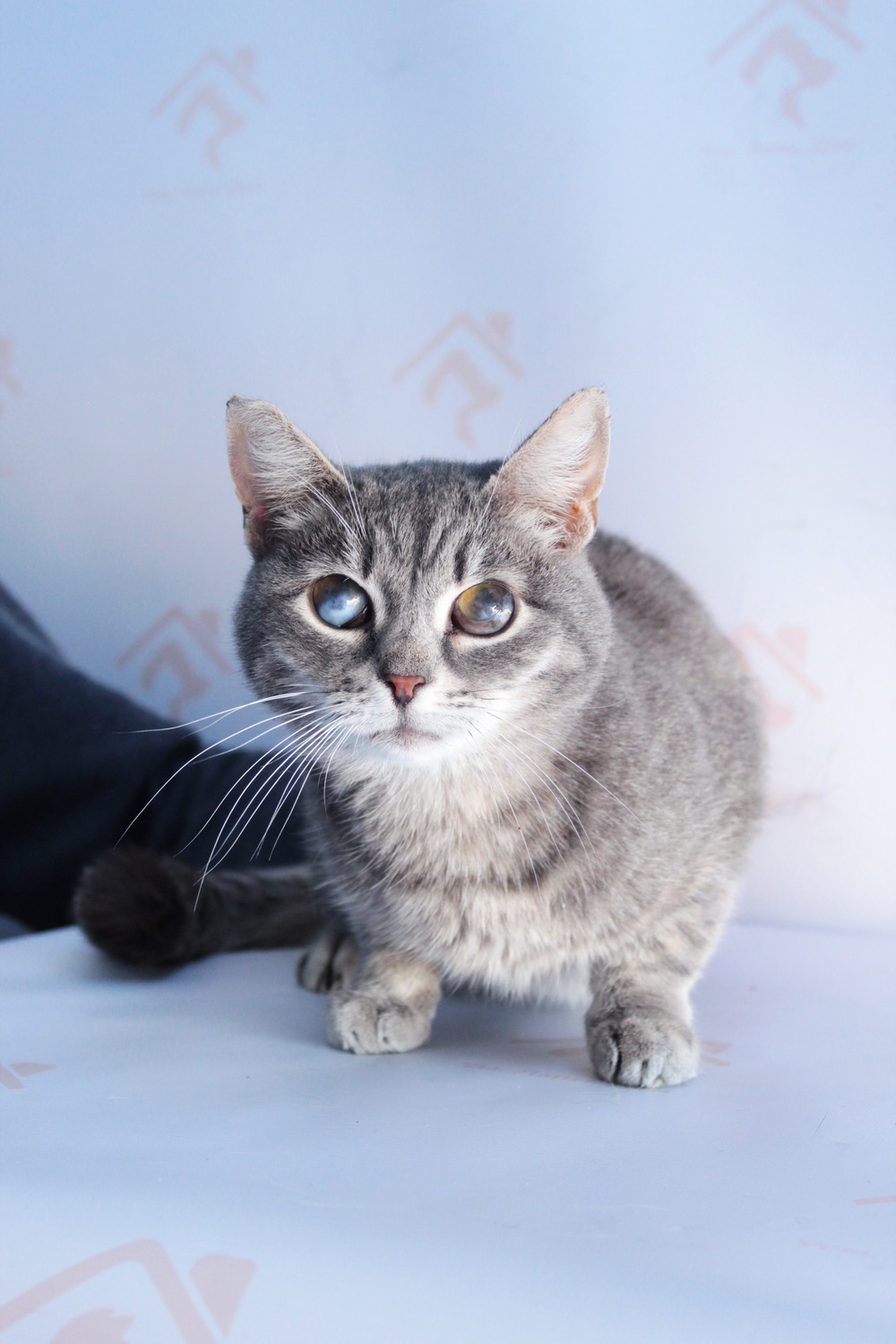 ph: Диана Стафеева