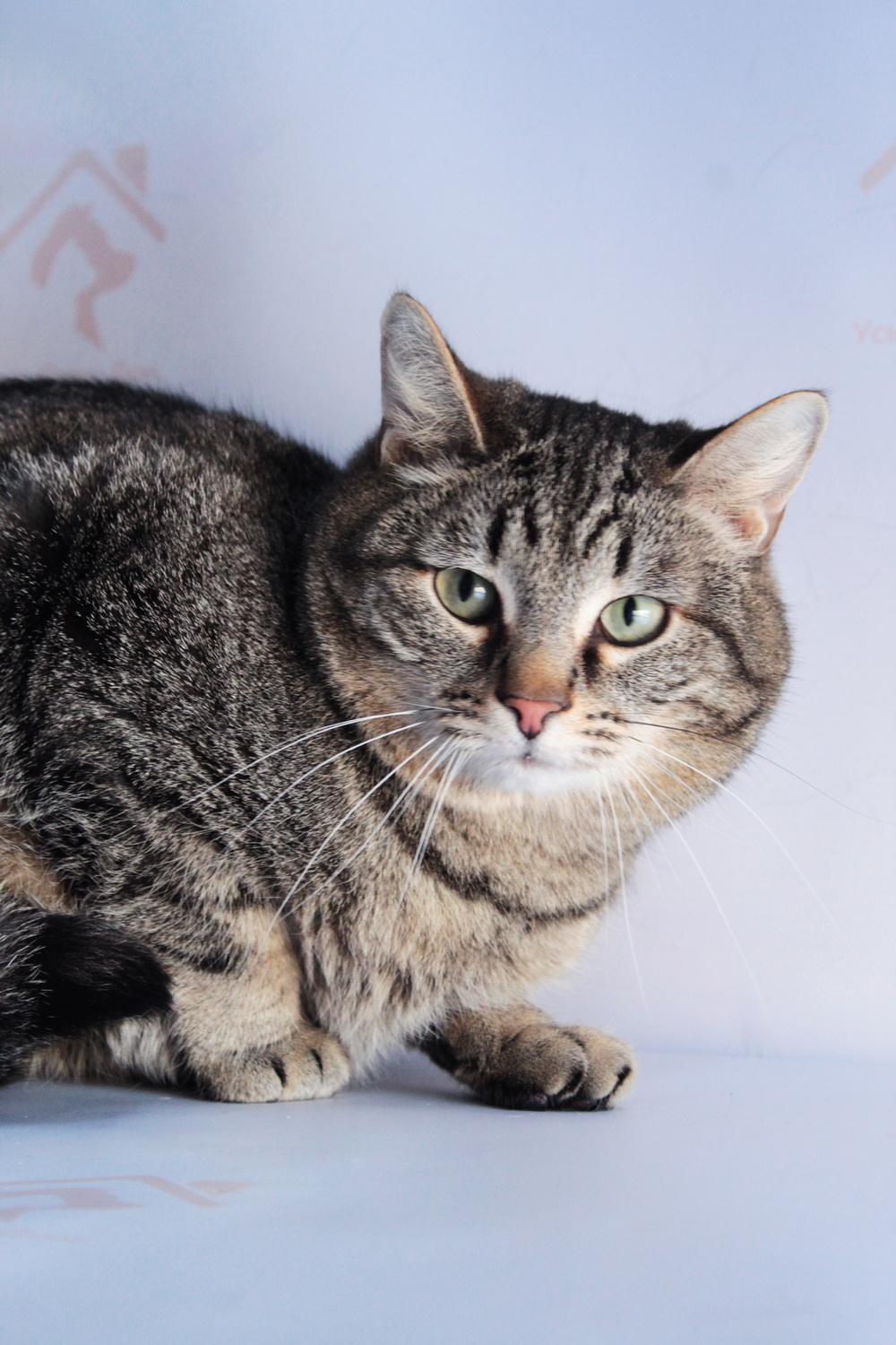 ph: Диана Стафеева