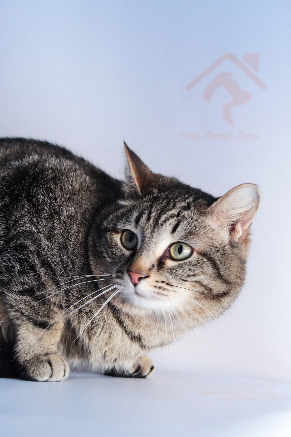 ph: Диана Стафеева