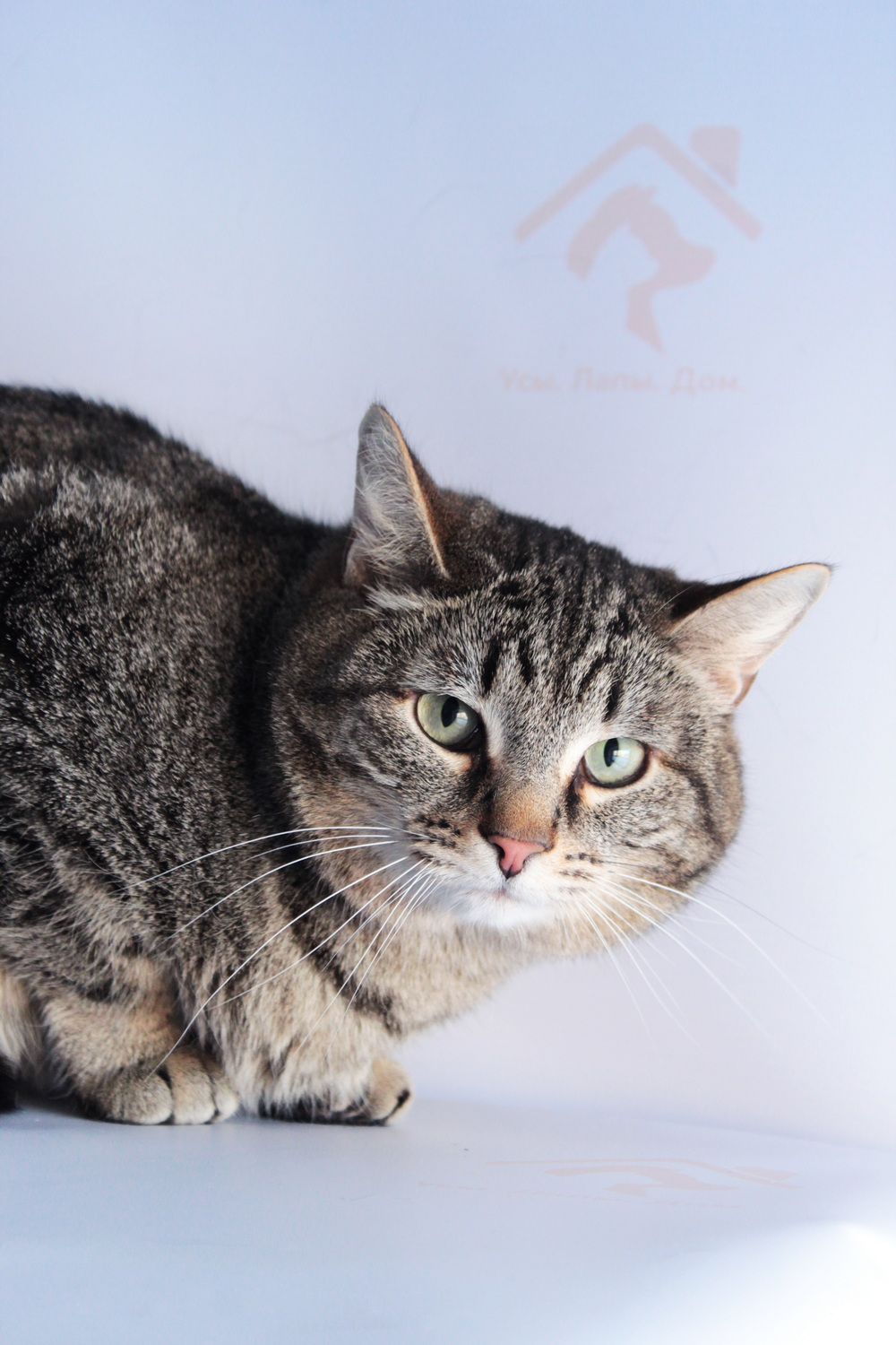 ph: Диана Стафеева