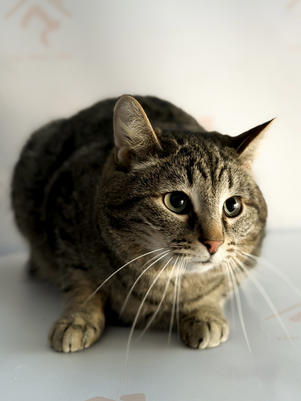 ph: Ирина Никифорова