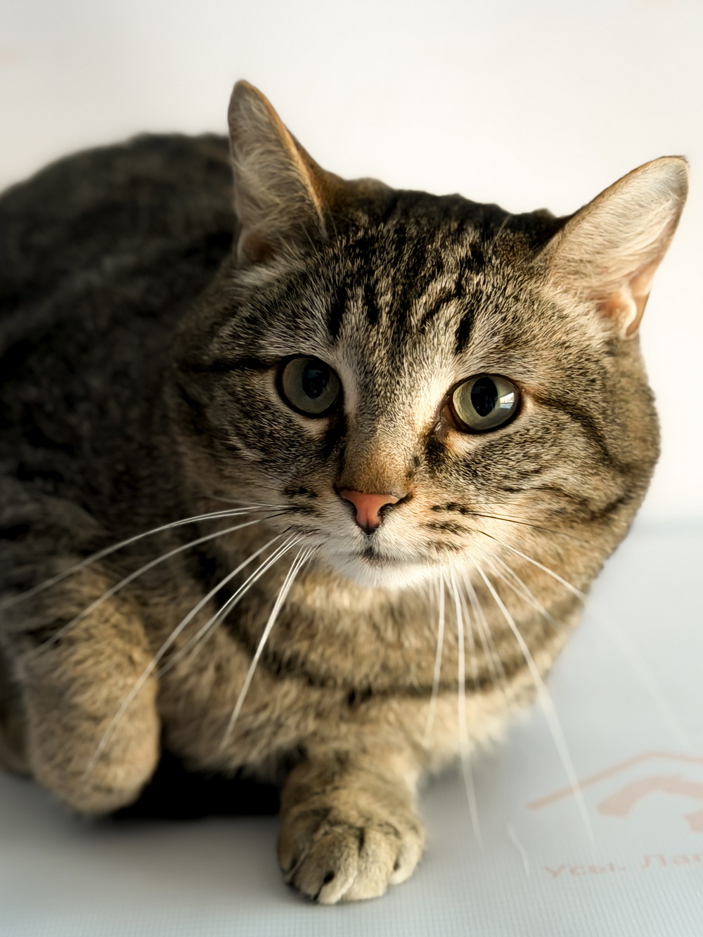 ph: Ирина Никифорова