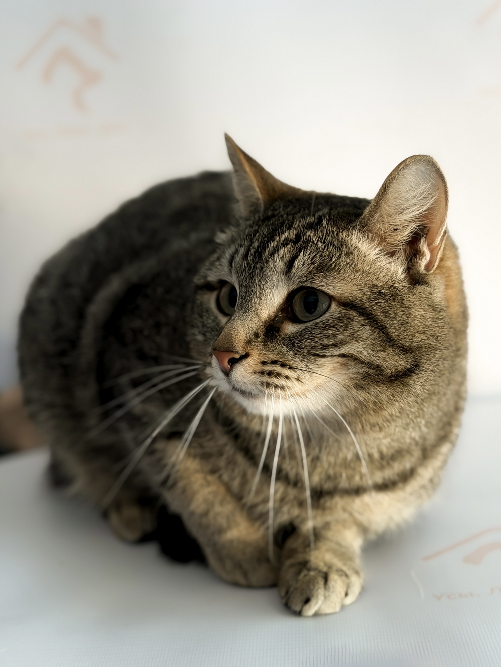 ph: Ирина Никифорова