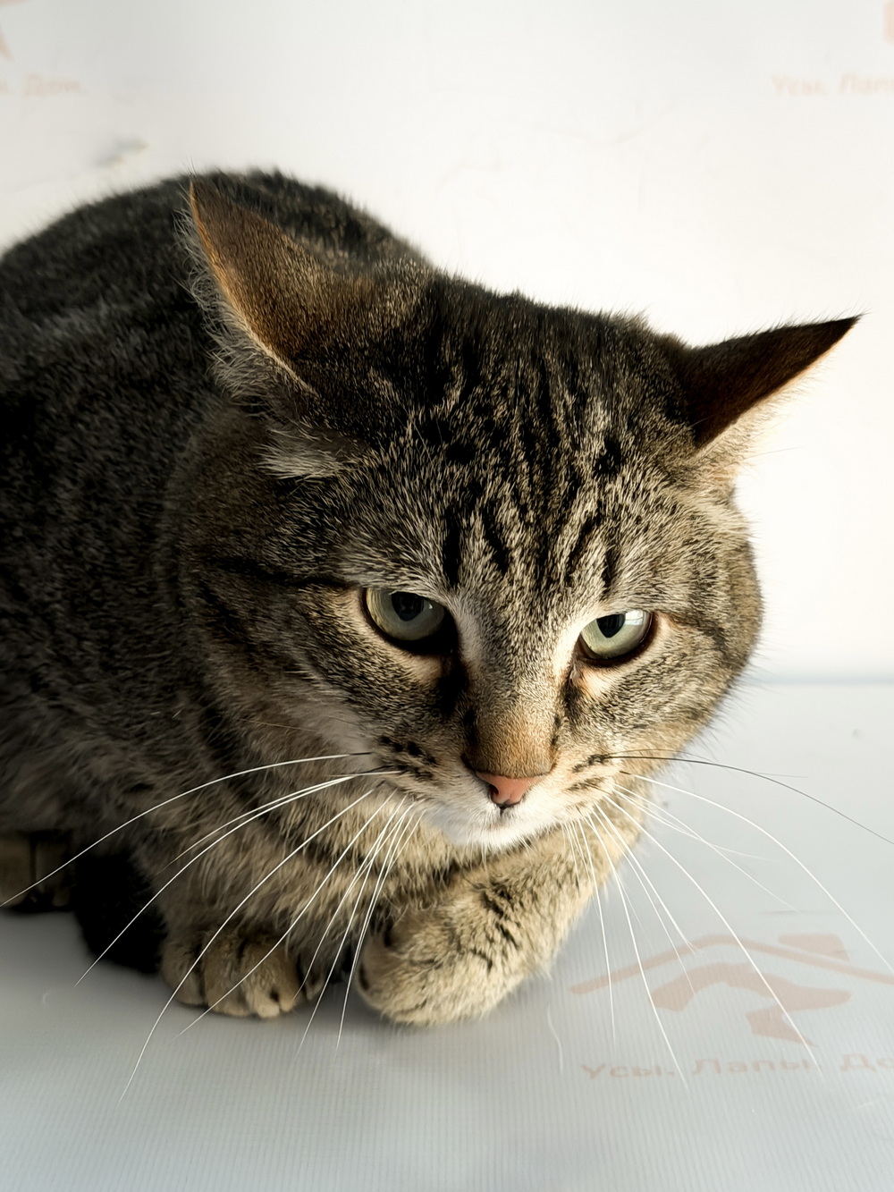 ph: Ирина Никифорова