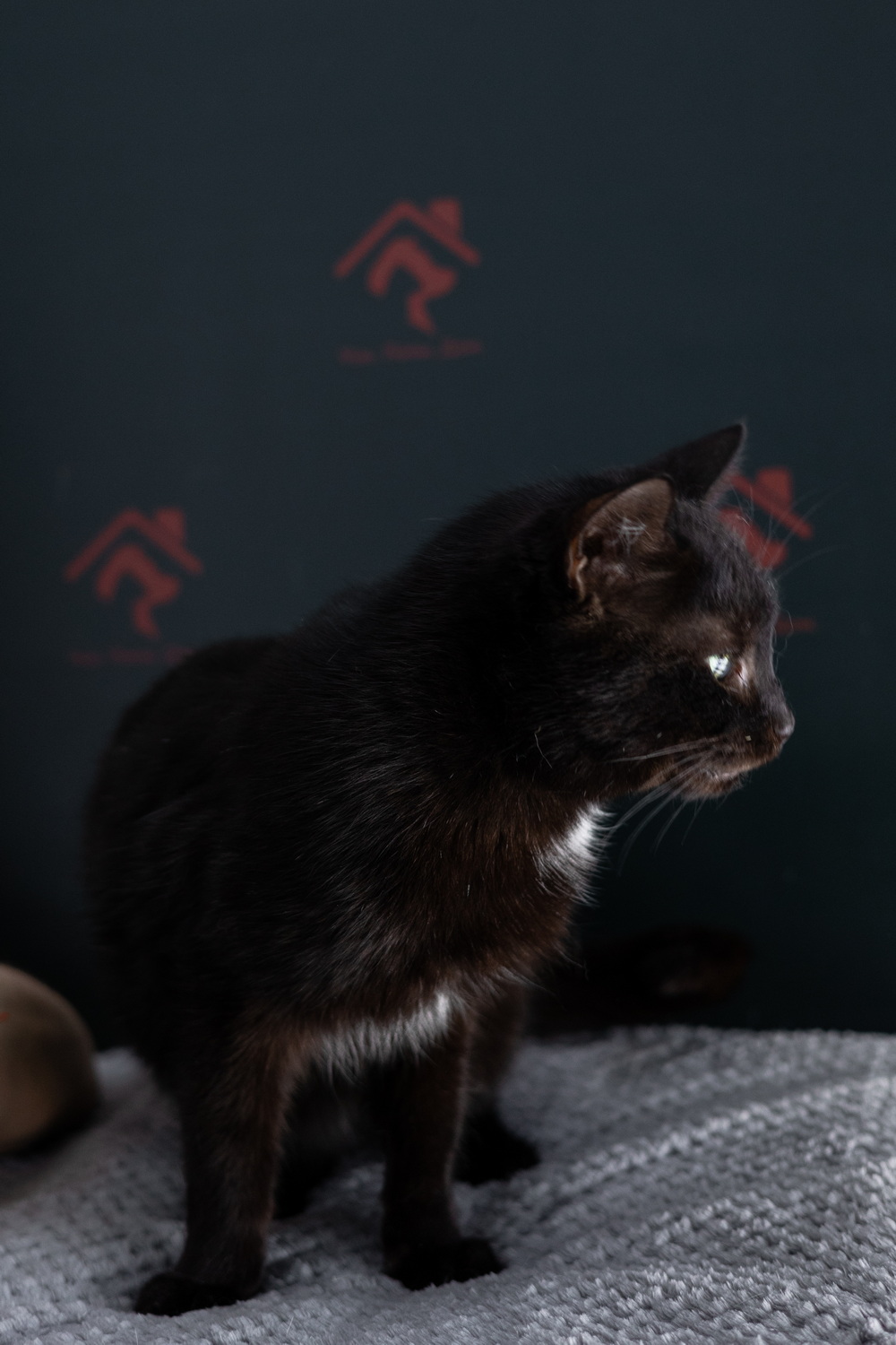 ph: Елена Тимофеева