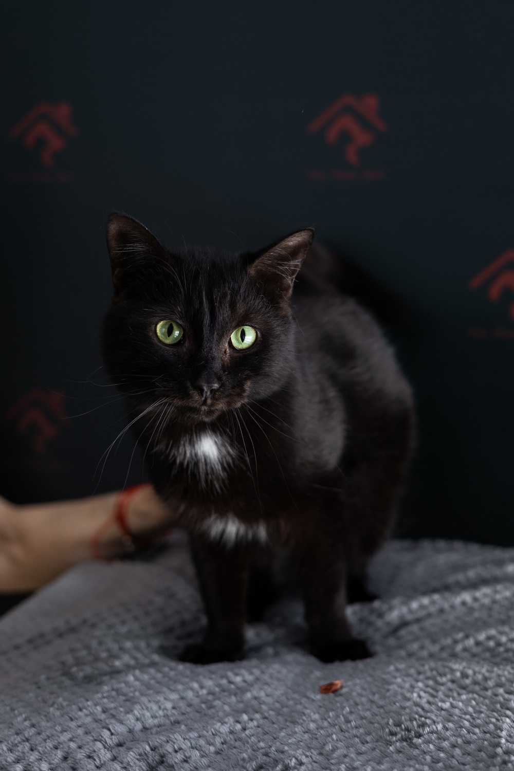 ph: Елена Тимофеева