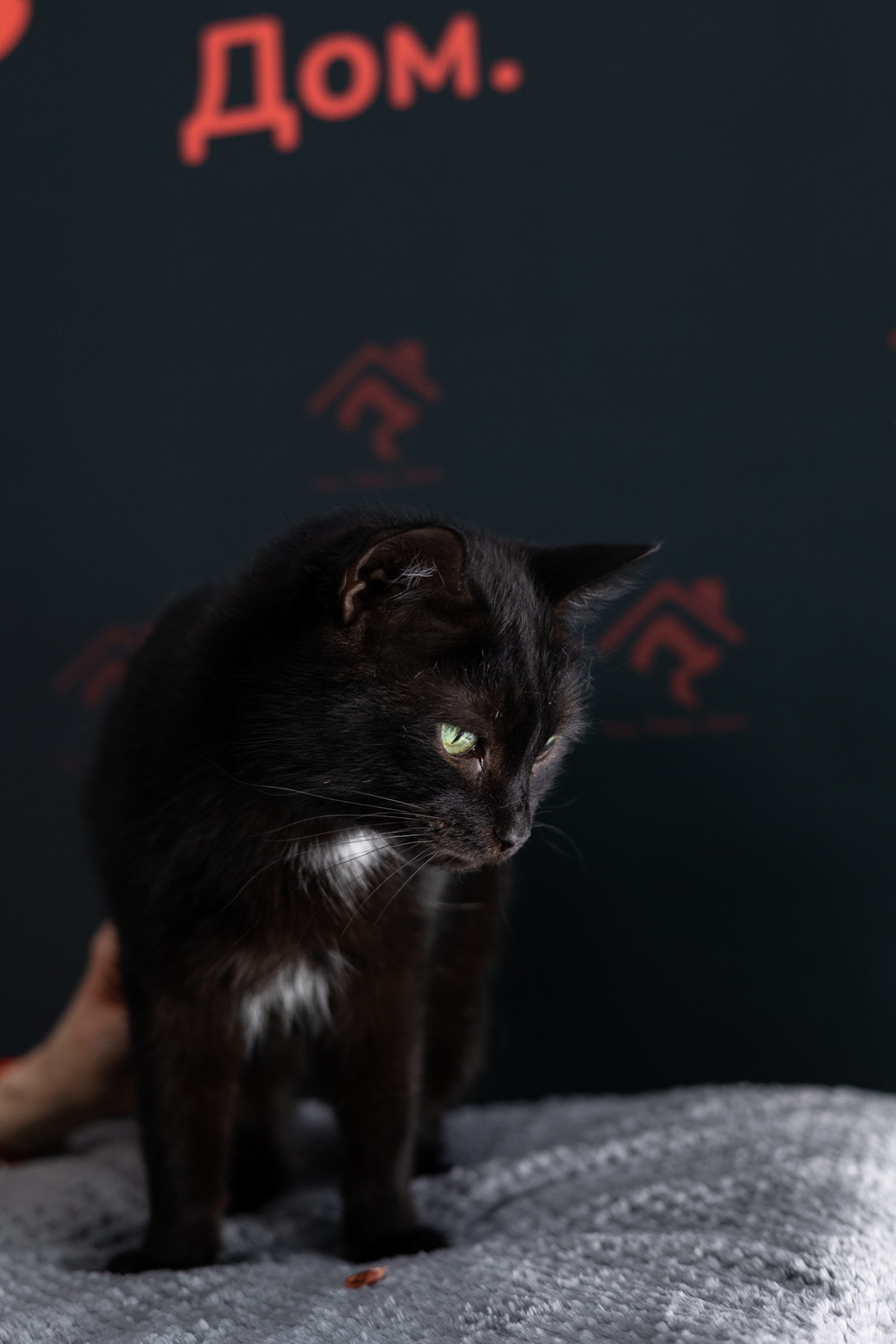 ph: Елена Тимофеева