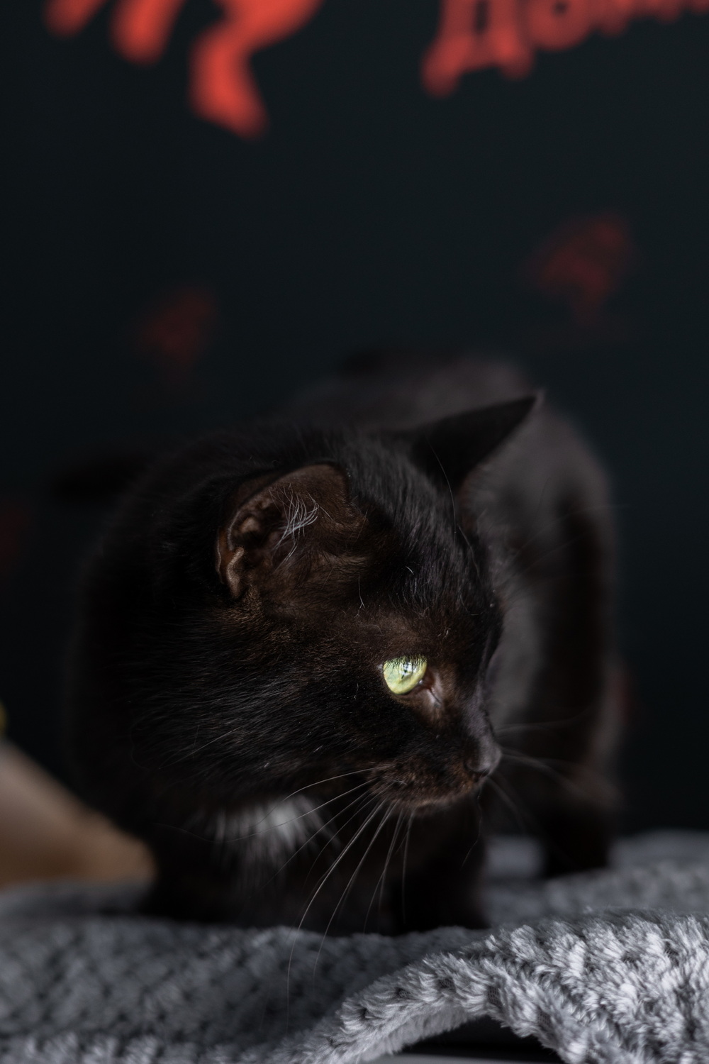 ph: Елена Тимофеева