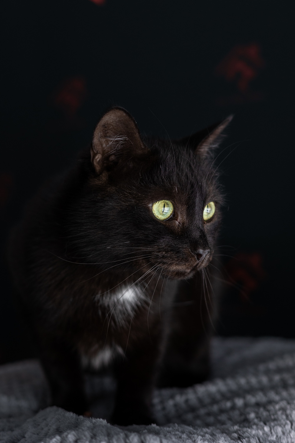 ph: Елена Тимофеева