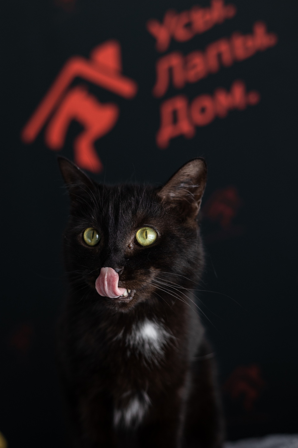 ph: Елена Тимофеева