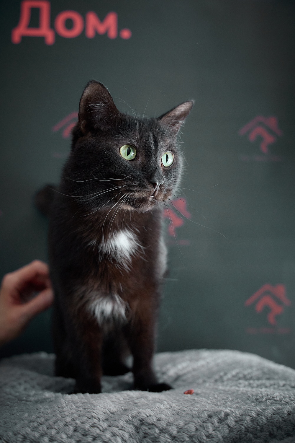 ph: Николай Коба