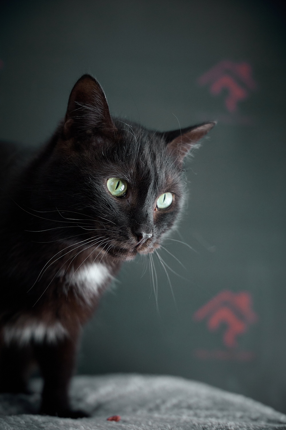 ph: Николай Коба