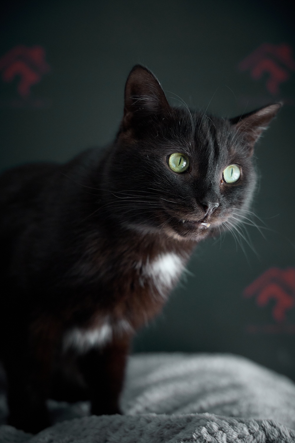 ph: Николай Коба