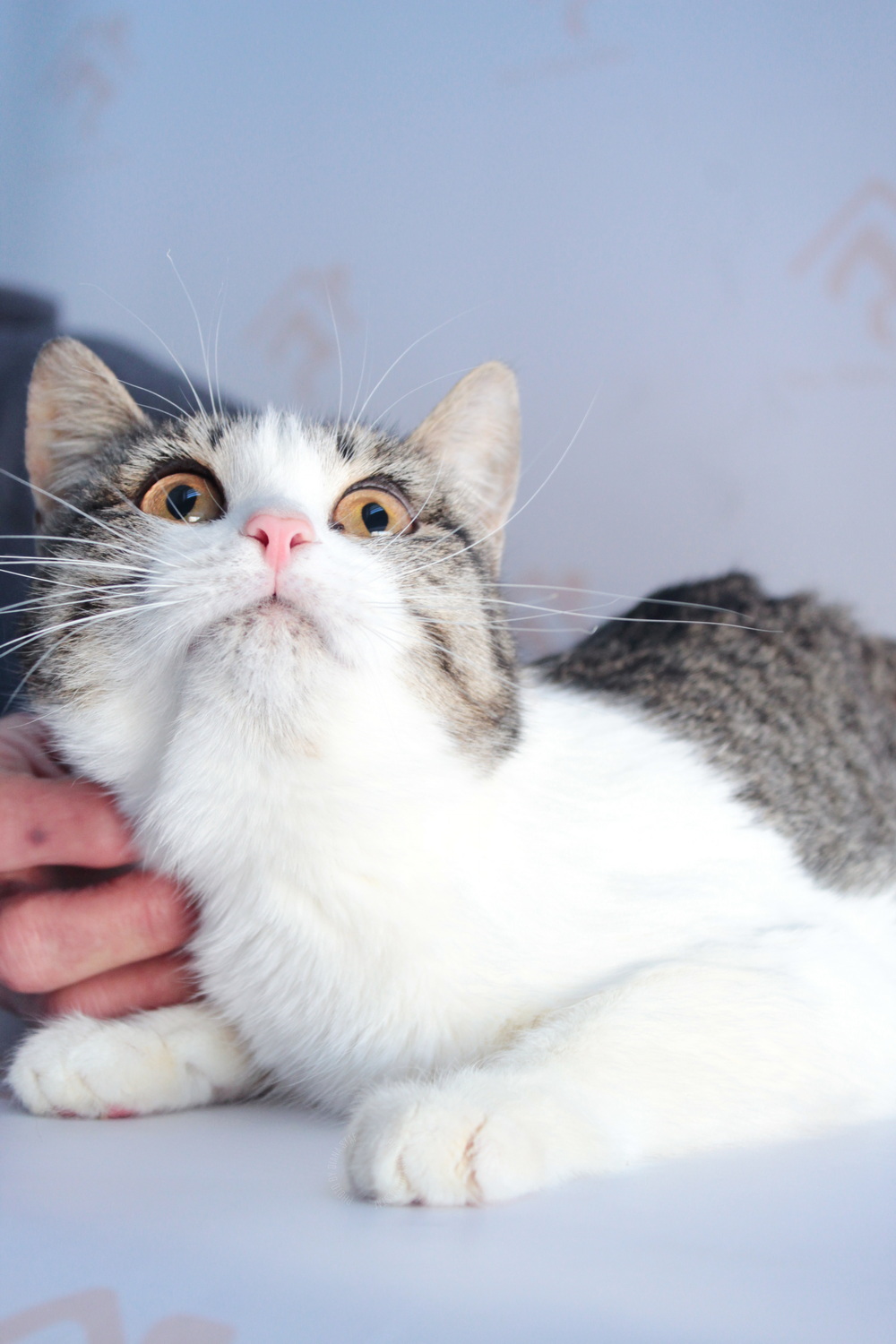 ph: Диана Стафеева