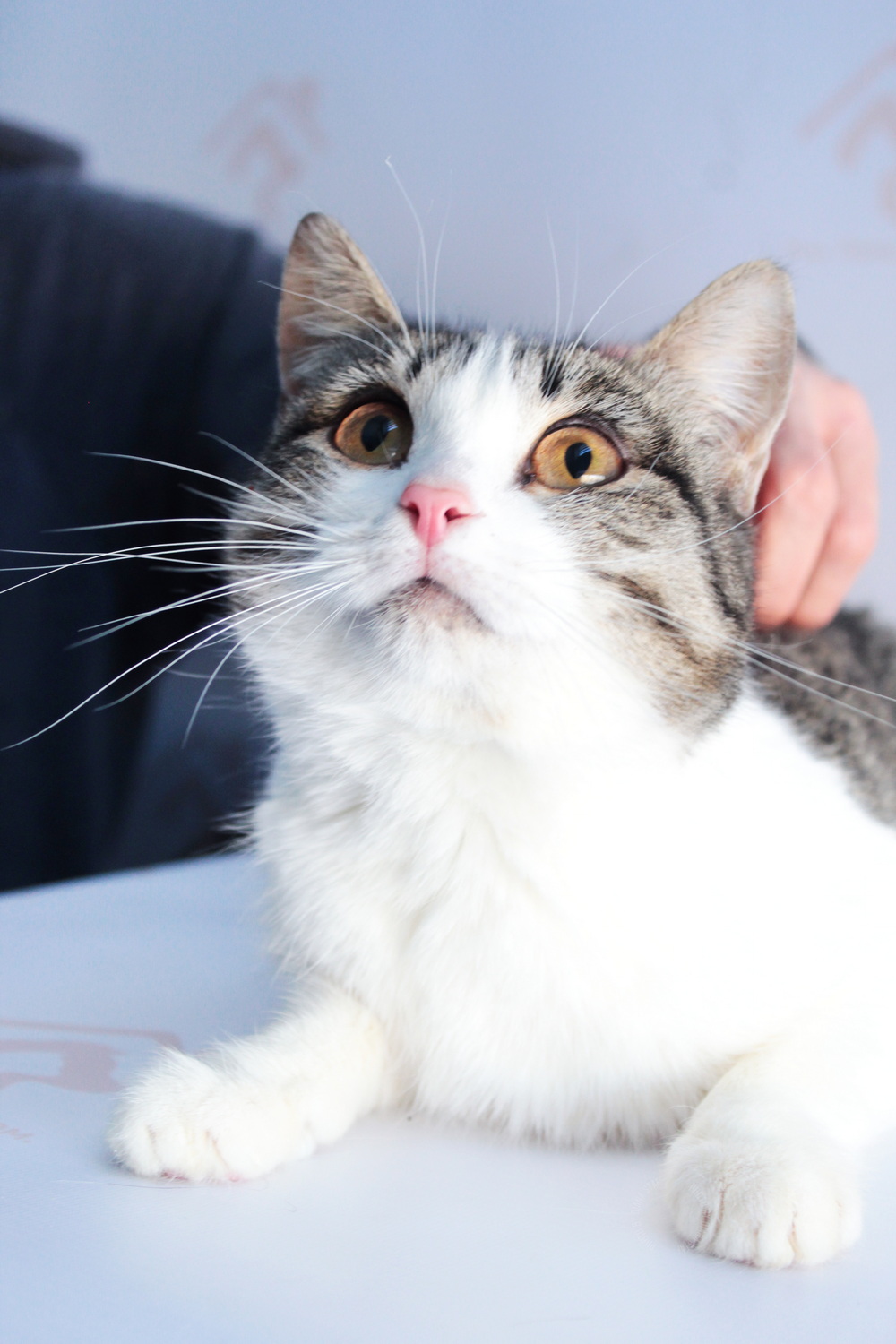 ph: Диана Стафеева