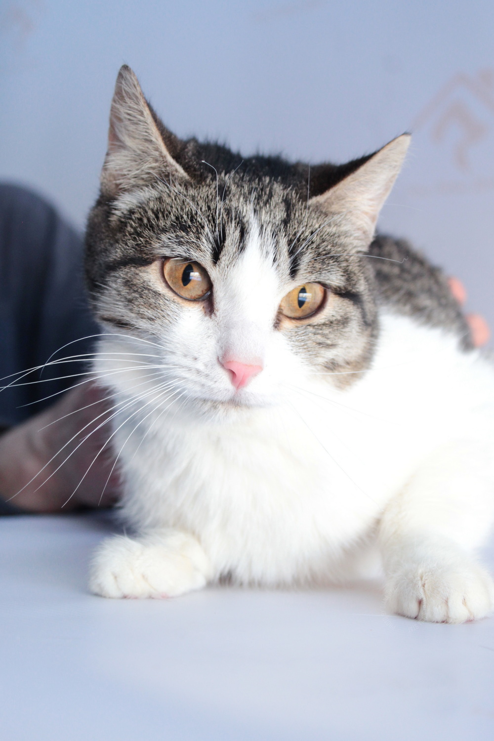 ph: Диана Стафеева