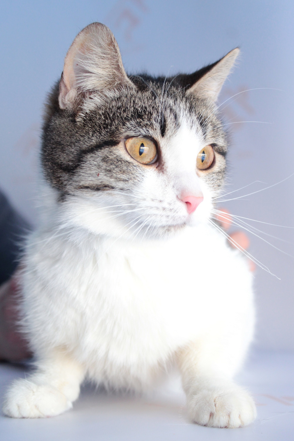 ph: Диана Стафеева